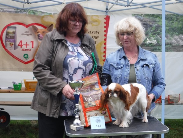 KV 2020-I, 11.7.2020, Městec Králové